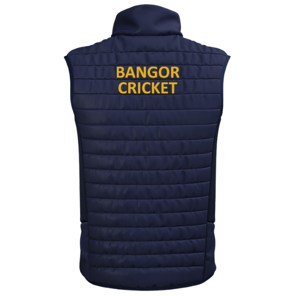 Bangor Cricket Club Wildwing Gilet